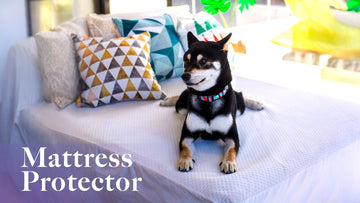 Mattress Protector