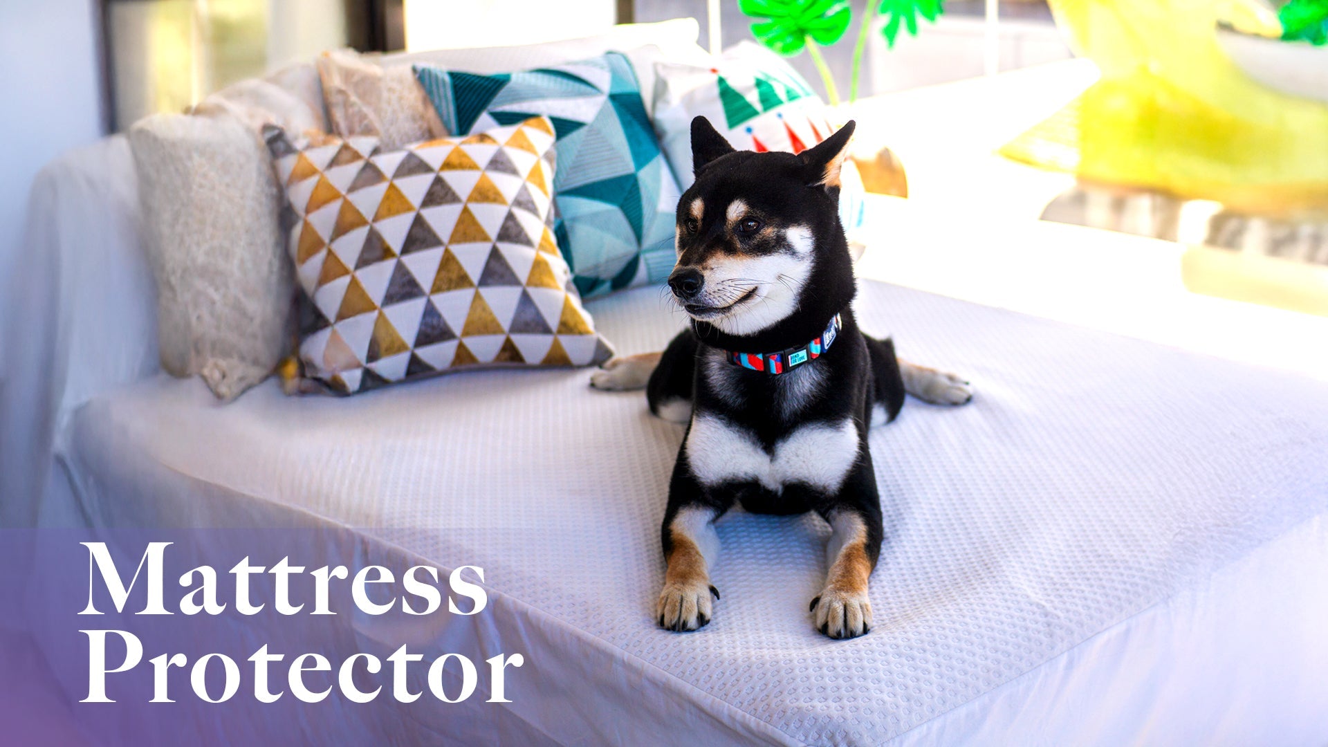 Mattress Protector